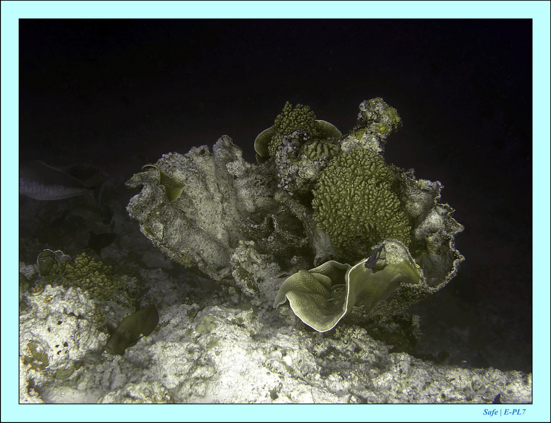 2023 - 07 - Sandies Bathala - 212